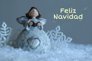 New year wishes and merry Christmas