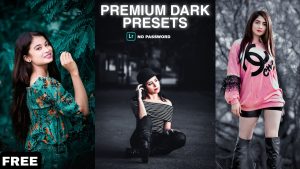 Lightroom presets free download