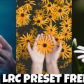 Download Lightroom Lrc presets
