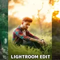 Lightroom mobile presets download